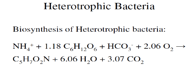 el-equilibrio-del-sistema-acuatico-2