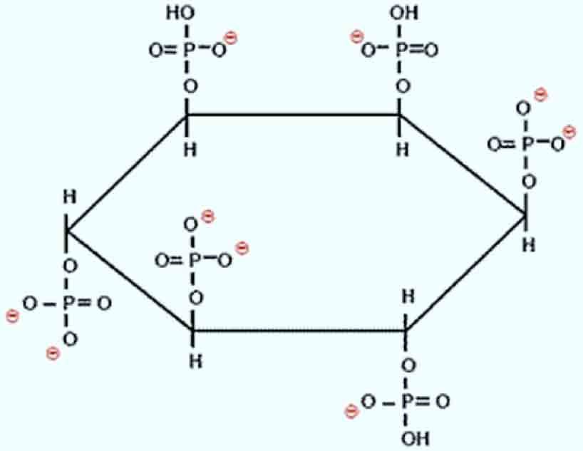 estructura-del-fitato