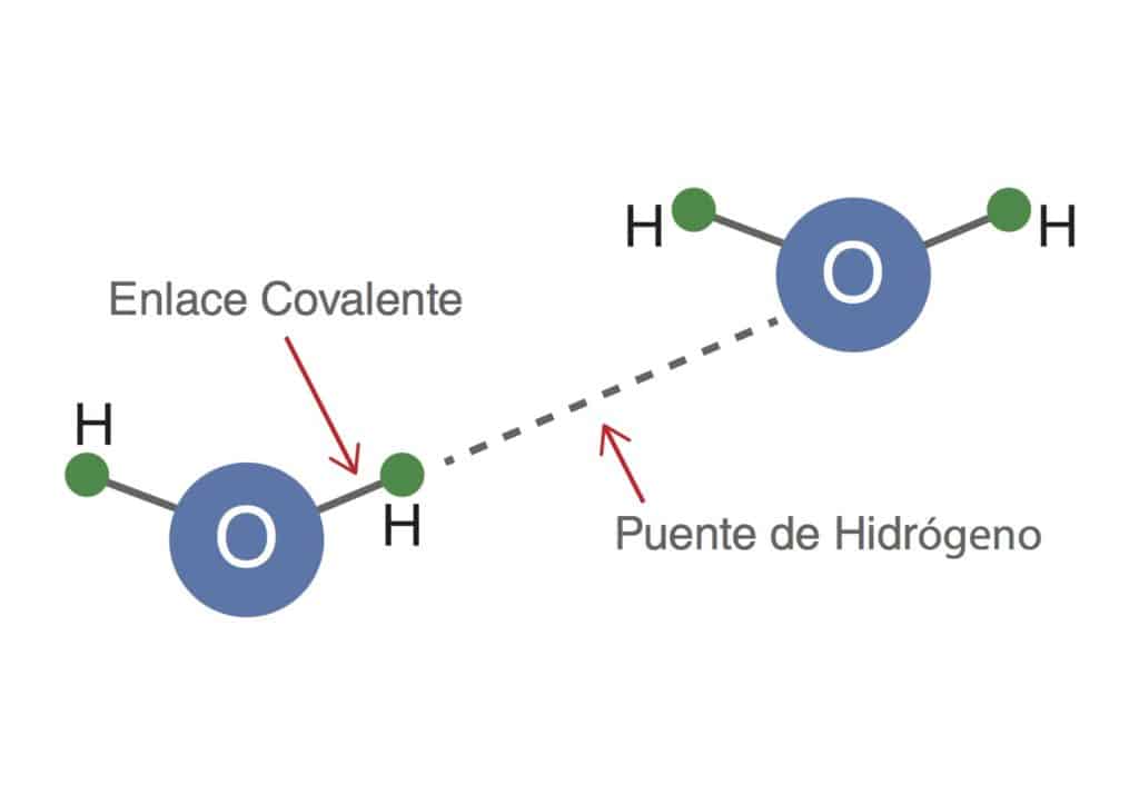 puentes-de-hidrógeno